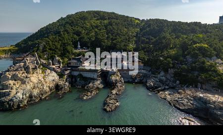 Blick aus der Vogelperspektive auf den Haedong Yonggungsa Tempel an der felsigen Küste mit traditioneller koreanischer Architektur, üppigen grünen Hügeln und dem blauen Meer in BU Stockfoto