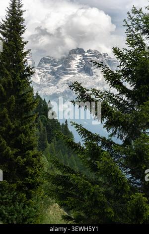 Schneebedeckte Gipfel der Brenta-Dolomiten, eingerahmt von Alpentannen unter dramatischen Wolken im Trentino, Italien. Stockfoto