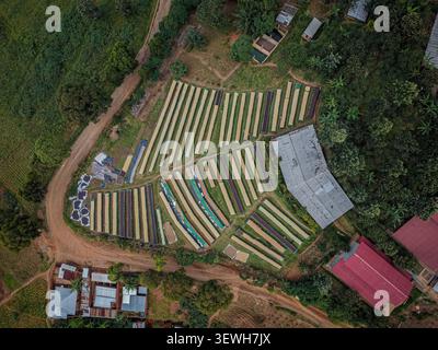 Rubanda, Burundi - 25. Mai 2026: Blick aus der Vogelperspektive auf Migoti, die in Reihen auf einem Hügel angeordnet sind, umgeben von üppigem Grün und unbefestigten Wegen. Stockfoto