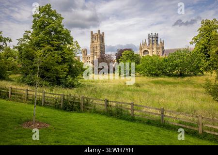 Die Kathedrale von Ely, Cambridgeshire, England Stockfoto