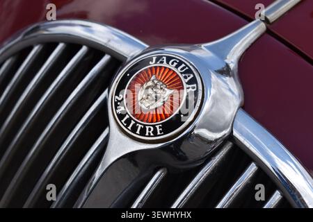 Hilversum, Niederlande - 7. Juni 2026: Nahaufnahme des Jaguar-Logos eines klassischen roten Jaguar Mk II aus den 1960er Jahren Stockfoto