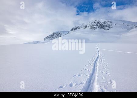 Schnee bedeckt eine riesige, ruhige Bergkette. Lone Trail führt durch unberührtes weißes Gelände. Der Himmel zeigt weiche Wolken über den Gipfeln. Der Pfad schlägt r vor Stockfoto