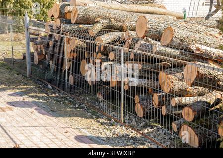 Ein riesiger Haufen von frisch gehacktem Brennholz und Holzstämmen, ordentlich hinter einem metallischen Sicherheitszaun in einem Hinterhof gestapelt. Stockfoto