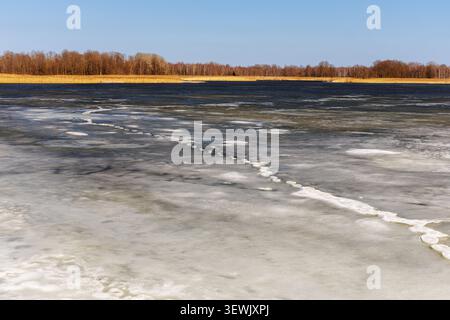 Eine malerische Landschaft mit einem großen See, bedeckt mit schmelzendem Eis und schneebedeckten Fußspuren unter einem klaren blauen Himmel, umgeben von gelbem Schilf. Stockfoto