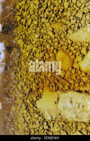 Hoher Blickwinkel auf kleine gelbe und braune Steine und Kieselsteine, sichtbar unter dem kristallklaren Wasser und der dünnen Eisschicht eines gefrorenen Seeufers. Stockfoto