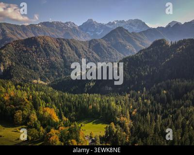Ein weites Panorama aus der Luft fängt weite Wälder mit Herbstlaub am Fuße der Julischen Alpen in Slowenien ein. Diese Abbildung dient zur Veranschaulichung Stockfoto