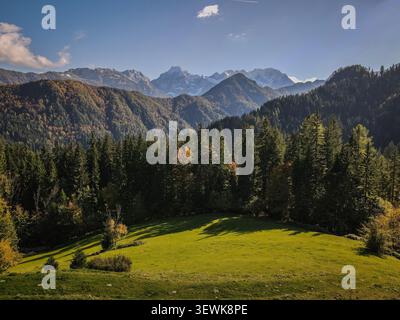 Ein weites Bild zeigt eine grüne Wiese und einen dichten Kiefernwald im Vordergrund mit Schichten von Bäumen bedeckten Bergen und entfernten schneebedeckten Gipfeln des Th Stockfoto