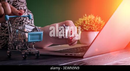 Immobilienkauf online. Weibliche Hände, die ein Modellhaus mit einem Laptop und einem vollen Einkaufswagen auswählen. Stockfoto
