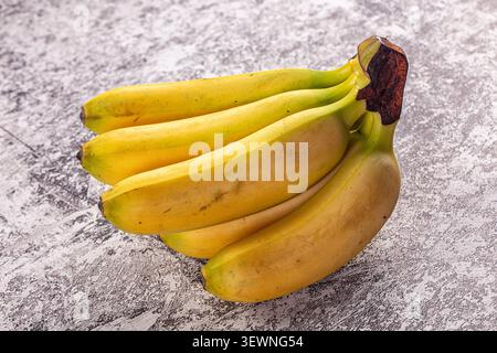 Reife gelbe Bananen mit grünen Stielen auf rustikalem grauen strukturiertem Hintergrund. Weiche, natürliche Beleuchtung hebt Fruchtkurven und Oberflächenfehler hervor. Stockfoto