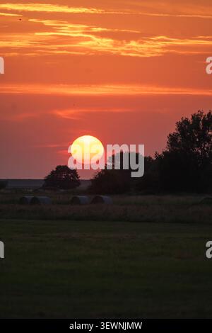 Dramatischer Sommeruntergang in Orange über Ackerland in Butjadingen mit runden Heuballen und Baumsilhouetten Stockfoto