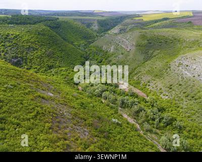 Grünes, bewaldetes Tal umgeben von sanften grünen Hügeln und Feldern unter hellem Himmel, Blick aus der Vogelperspektive, Tipova-Schlucht, Rezina-Region, Republik Moldau, Gussform Stockfoto