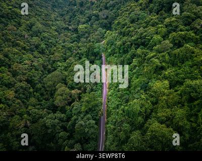 Aus der Vogelperspektive einer gewundenen Asphaltstraße, die durch den dichten tropischen Regenwald in Sumbawa, Indonesien führt. Stockfoto