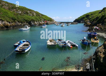 Kleine Boote im geschützten Hafen von Porth Clais, Pembrokeshire, Wales, Großbritannien Stockfoto