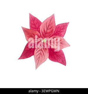 Roter Weihnachtsstern-Blumenkopf mit detaillierter Aquarellstruktur. Isolierte handgezeichnete Aquarellillustration von weihnachtlichem traditionellem Winterpflanzenelement Stockfoto