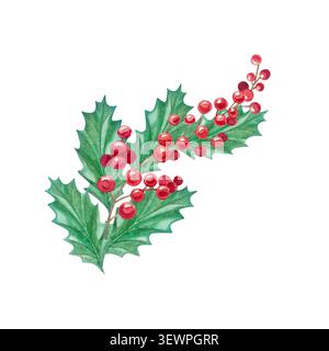 Aquarell weihnachtsbaum Zweig mit grünen Blättern und roten Beeren. Handgezeichnete festliche botanische Illustration des Winterferien isoliert auf Element zurück Stockfoto