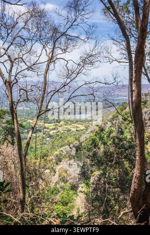 Panoramablick auf den Botanischen Garten Kirstenbosch und Kapstadt vom Tafelberg Stockfoto