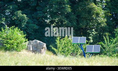 Kleine Photovoltaik-Solarpaneele in einem grünen Park, umgeben von Bäumen, Gras und natürlicher Vegetation. Erneuerbare Energien, nachhaltige Technologie, Stockfoto