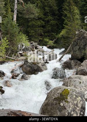 Der schnell fließende Fluss kaskadiert über große Felsbrocken, umgeben von üppigen grünen Bäumen in einer bergigen Waldlandschaft Stockfoto