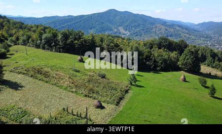 Aus der Vogelperspektive sehen Sie traditionelle Heuhaufen, die über eine landwirtschaftliche Weide mit Bergwald verstreut sind. Stockfoto
