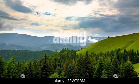 Ein Blick aus einem hohen Winkel mit sanften grünen Berghügeln, bedeckt mit tiefen Kiefernwäldern unter einem riesigen, bewölkten Himmel. Stockfoto