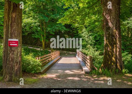 Holzbrücke Waldschild Richtung zum Schloss auf Baumstamm nach links zeigend, Pfad führt durch grünen Sommerpark oder Wald, Navigation und Fahrt Stockfoto