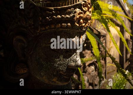 Alte Steinskulptur, die eine hinduistische Gottheit mit aufwendigen Schnitzereien und einem ruhigen Gesicht darstellt, stehend in einem Tempelgarten mit grünen Farnen im Hintergrund, beleuchtet von gesprenkeltem Sonnenlicht und tiefen Schatten Stockfoto