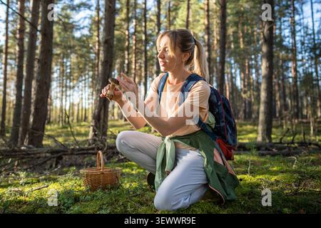 Glückliche Wanderer-Pilze, die am Sommertag im Kiefernwald essbare Stachelpilze aufsammelt. Stockfoto