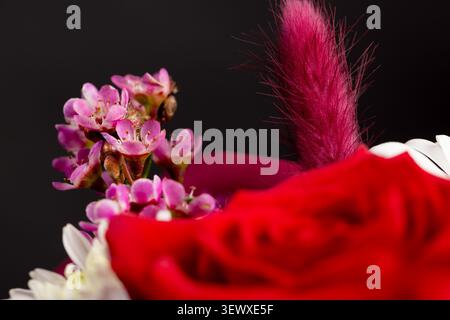 Dieser Blumenstrauß mit roten Rosen in der Mitte wird durch rosafarbene und weiße lebende Pflanzen ergänzt. Stockfoto