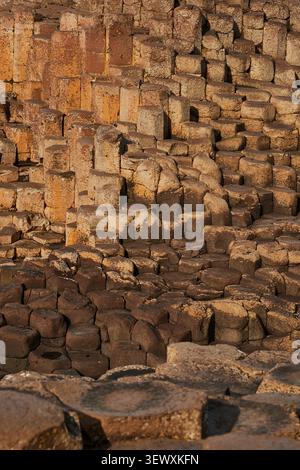Nahaufnahme von Basaltsäulen am Giant's Causeway in Nordirland Stockfoto