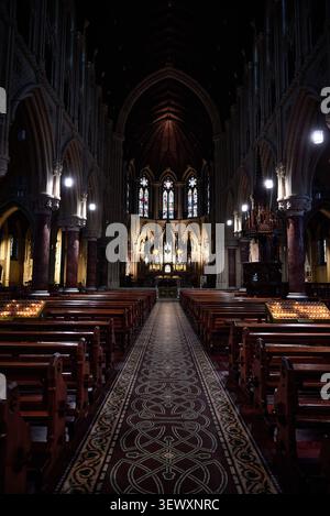 Inneres der St Colman's Kathedrale mit zentralem Schiff in Cobh, County Cork, Irland Stockfoto