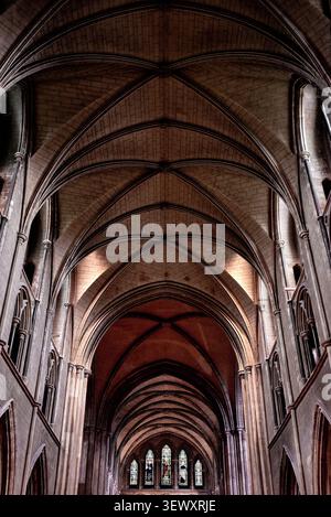 Gotische Kreuzrippengewölbe und Buntglasfenster in der St. Patrick's Cathedral in Dublin, Irland Stockfoto