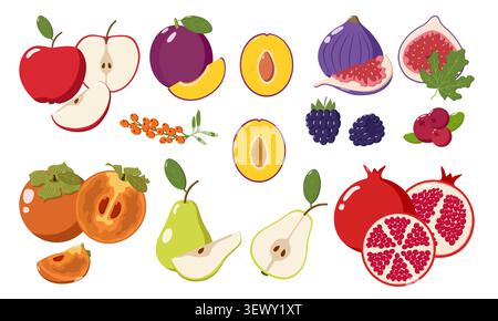 Bunte Frucht Illustration Äpfel, Birnen, Feigen, Pflaumen, Beeren, Persimmonen und Granatäpfel, perfekt für kulinarische, lehrreiche und kreative Designs p Stockfoto