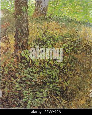 Unterholz mit Ivy (Unterholz) (1889) von Vincent van Gogh Stockfoto