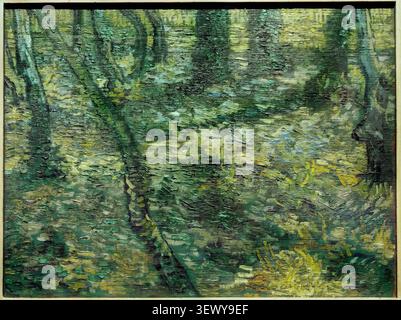 Undergrowth with Ivy (1889) von Vincent van Gogh Stockfoto