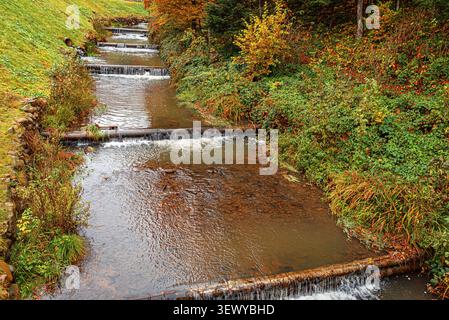 Ein Bach fließt über eine Reihe von kleinen hölzernen Dämmen, umgeben von üppigem Grün und herbstfarbenem Laub. Stockfoto