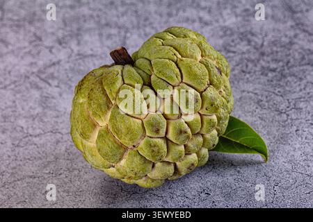 Frischer ganzer Vanilleapfel mit Stiel und einzelnem grünen Blatt. Tropische Zuckerapfelfrucht mit holpriger grüner Haut isoliert auf dunkel strukturierter grauer Steinoberfläche Stockfoto