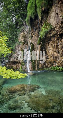 Ein kleiner Wasserfall fließt über felsige Wände in einen türkisfarbenen Pool, der von üppigem Grün umgeben ist, im Nationalpark Plitvicer Seen, Kroatien Stockfoto