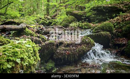 Wasser fließt über moosige Felsen in einem Wald, bildet kleine Wasserfälle, Wandern im Frühling, Bad Blankenburg, Naturpark Schwarztal, Thüringer F Stockfoto