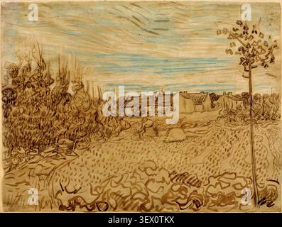 Bauernhaus in einem Weizenfeld (1888) von Vincent van Gogh Stockfoto