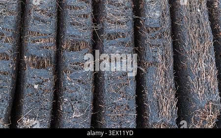 Reihen von geschnittenen Torfplatten oder Rasen stapelbar und trocknend im Frühsommer Sutherland Scotland Bild 2 Stockfoto
