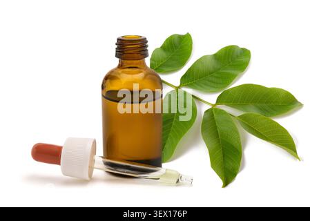 Walnusszweig mit frischen grünen Blättern, bernsteinfarbene Tropfflasche und Glaspipette isoliert auf weißem Hintergrund. Natürlicher Kräuterextrakt, botanische Skinca Stockfoto