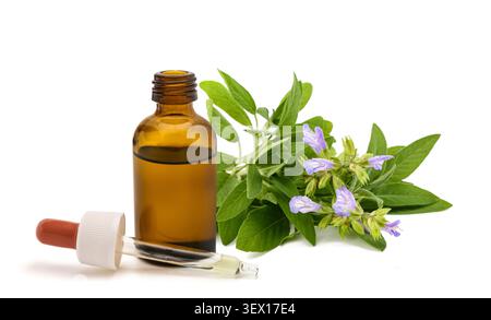 Frische Salbeiblüten mit Glasflasche und Tropfer, isoliert auf weißem Hintergrund. Natürlicher Kräuterextrakt, ätherisches Öl, Aromatherapie, botanische Medizin Stockfoto
