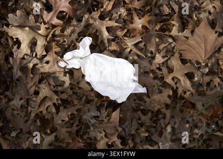 Zerknittertes weißes Papiertuch liegt auf trockenen Herbstblättern, natürliche Braun- und Beigetönen dominieren Stockfoto