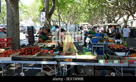 Obst- und Gemüsestand auf dem Straßenmarkt in Beaucaire, Provence, Frankreich Stockfoto