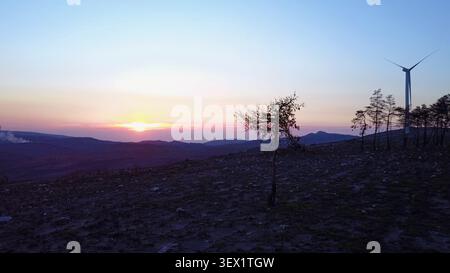 Die Sonne untergeht über sanfte Hügel und wirft ein sanftes Leuchten auf einen einsamen, verbrannten Baum und zerklüftetes Gelände. Die Silhouette einer modernen Windkraftanlage steht im Kontrast zum p Stockfoto