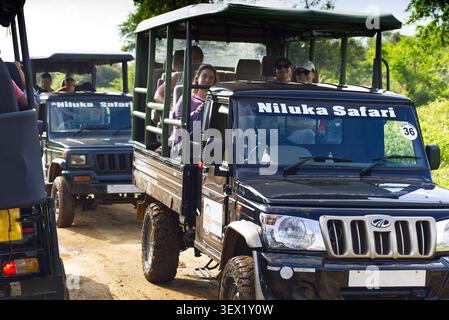 Safari-Jeeps voller Touristen auf einer Pirschfahrt im Udawalawe-Nationalpark, Sri Lanka. Ein Fahrzeug für die Pirschfahrt verfügt über eine Dachluke für Wildbeobachtungen und Fotos Stockfoto