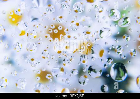 Klare Tropfen haften an einer Glasoberfläche mit Blumen. Gelbe Blüten verschwimmen hinter der Kondensation. Winzige Luftblasen reflektieren Licht mit strahlender Klarheit. Stockfoto