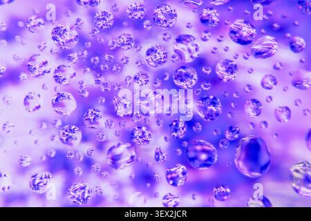 Violettes Licht beleuchtet Blumen und Tropfen auf einer Glasoberfläche. Blasen reflektieren violette und tiefblaue Farbtöne. Texturen erscheinen durchscheinend und delica Stockfoto