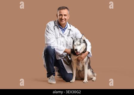 Männlicher Tierarzt mit süßem Husky-Hund auf braunem Hintergrund Stockfoto