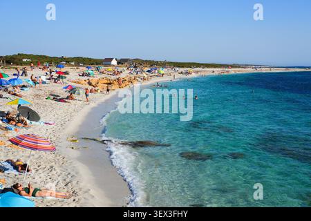 Kristallklares türkisfarbenes Wasser und Quarzsandstrand von IS Arutas in Cabras, Sardinien, Italien Stockfoto